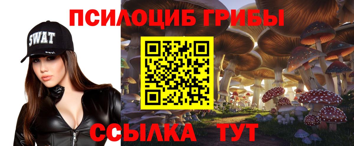 Псилоцибиновые грибы мицелий Дубна